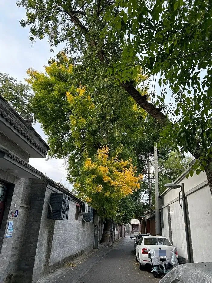谁买走了北京法拍四合院标王?福祥胡同15号2.04亿元成交刷新纪录