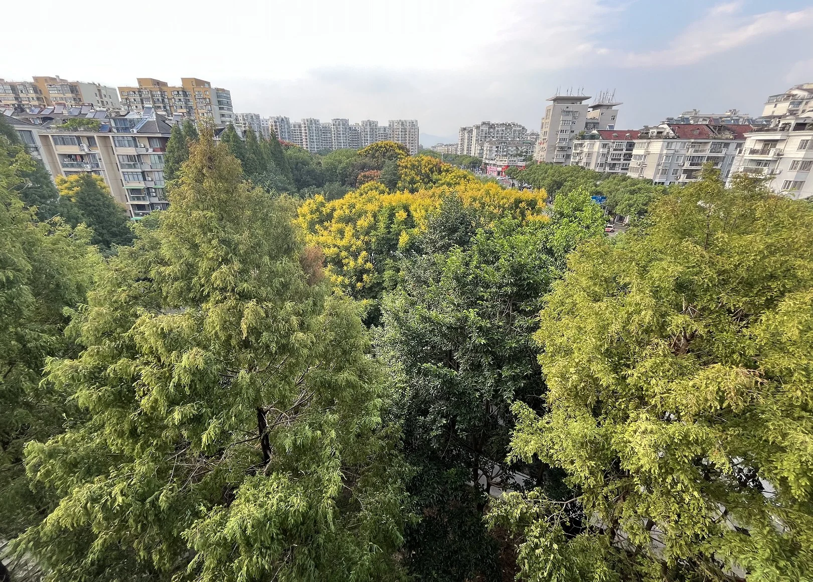 pc/fcq/2026/09/24/27720cf6-bcfd-46d5-a564-1af68c651a89.jpg 房价