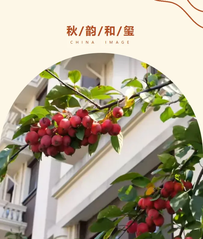 pc/fcq/2026/10/28/1f886eb8-b489-4d45-9225-a8bf513c3e36.jpg pc/fcq/2026/10/28/1f886eb8-b489-4d45-9225-a8bf513c3e36.jpg