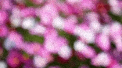 pc/fcq/2023/10/06/0639c9ac-107c-4233-af9e-7e21b5905b4a.gif