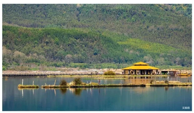 北海湿地小镇奔赴山海解锁康养旅居的n种生活方式