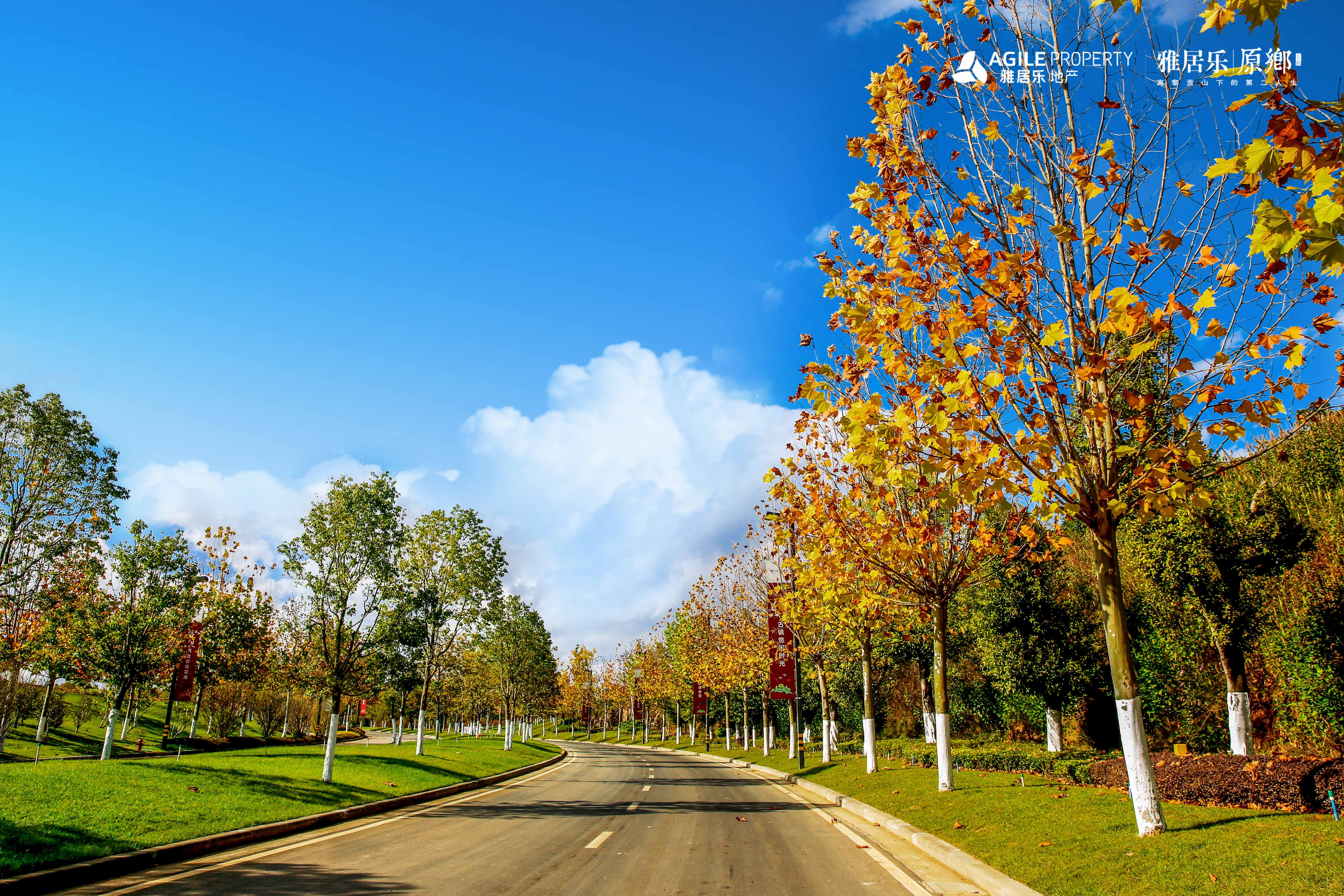 雅居乐原乡怎么样尽兴体验每一度自然能量