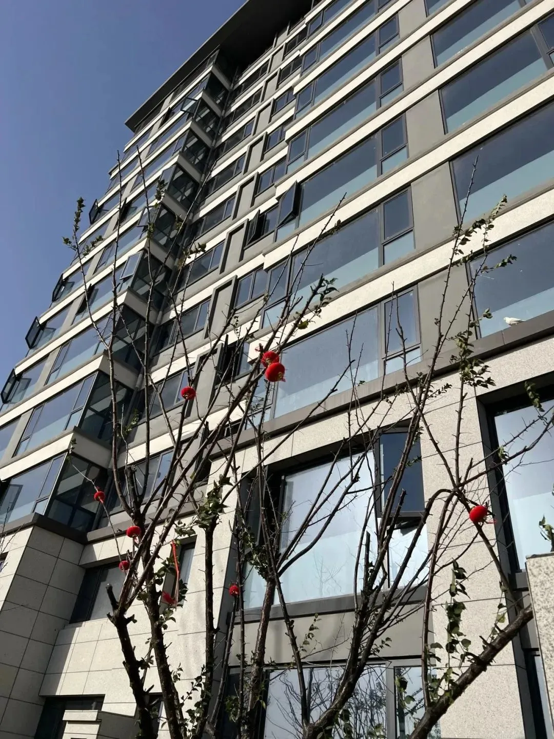 秦山书海云墅丨与美好相遇兑现家的承诺