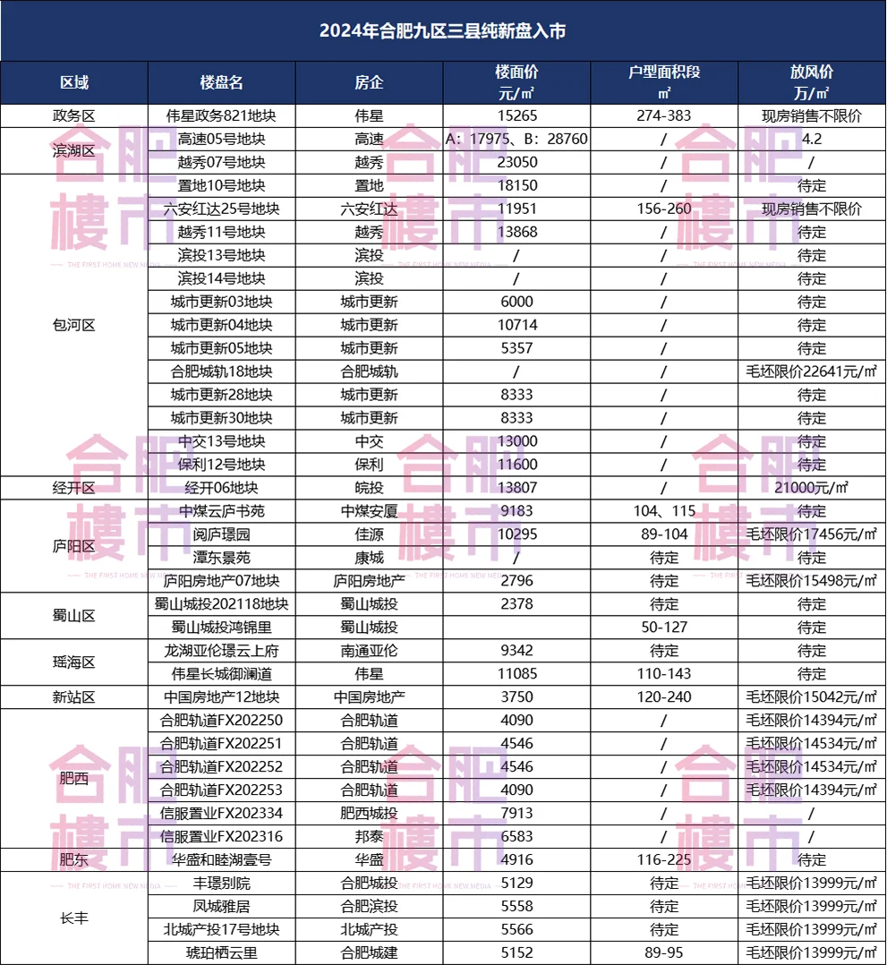 合肥37大纯新盘24年待入市,最高4万+/㎡!-房产资讯-房天下