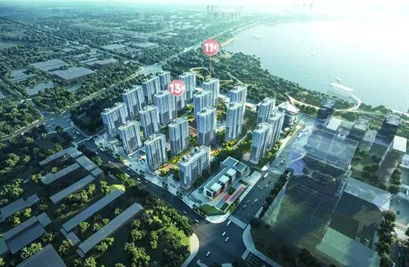 就在明天金华有个头条事件