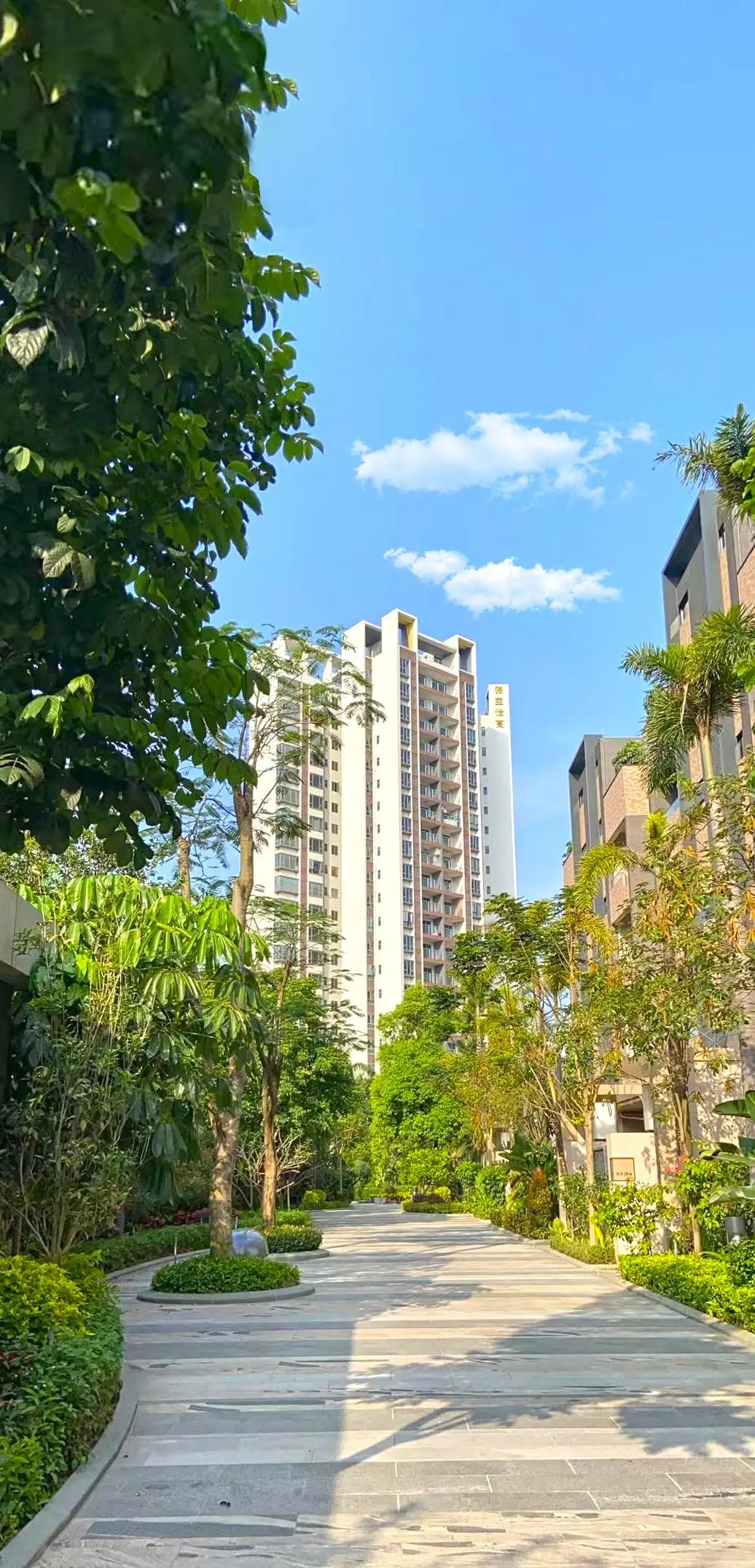 房天下>房产快讯>中山房叔>正文> 作为中山市首个幸福小区,23年全年共