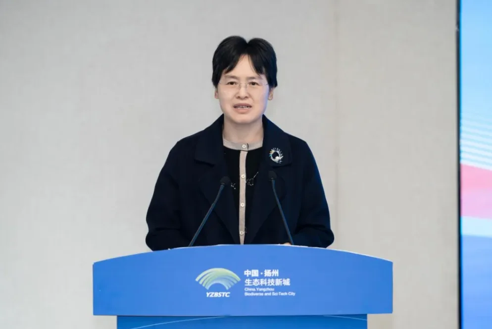 烟花三月新城召开城市建设高质量发展推进会