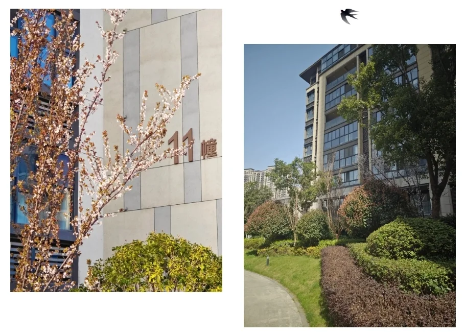 温暖让美好发生金辉物业人春风送暖不负春光不负青