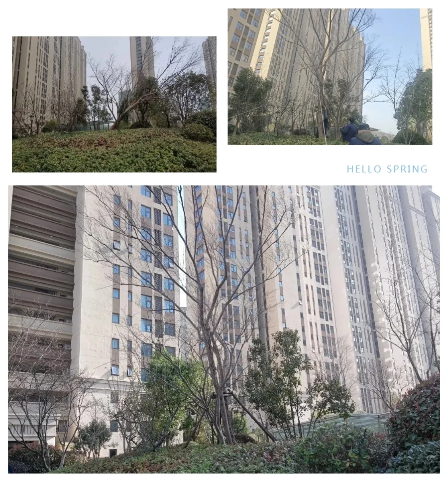 温暖让美好发生金辉物业人春风送暖不负春光不负青