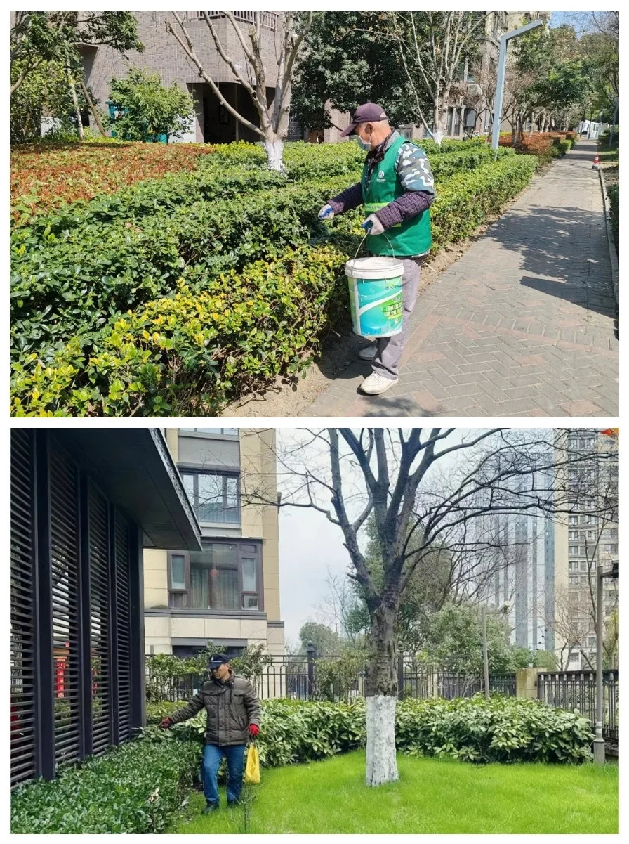 温暖让美好发生金辉物业人春风送暖不负春光不负青