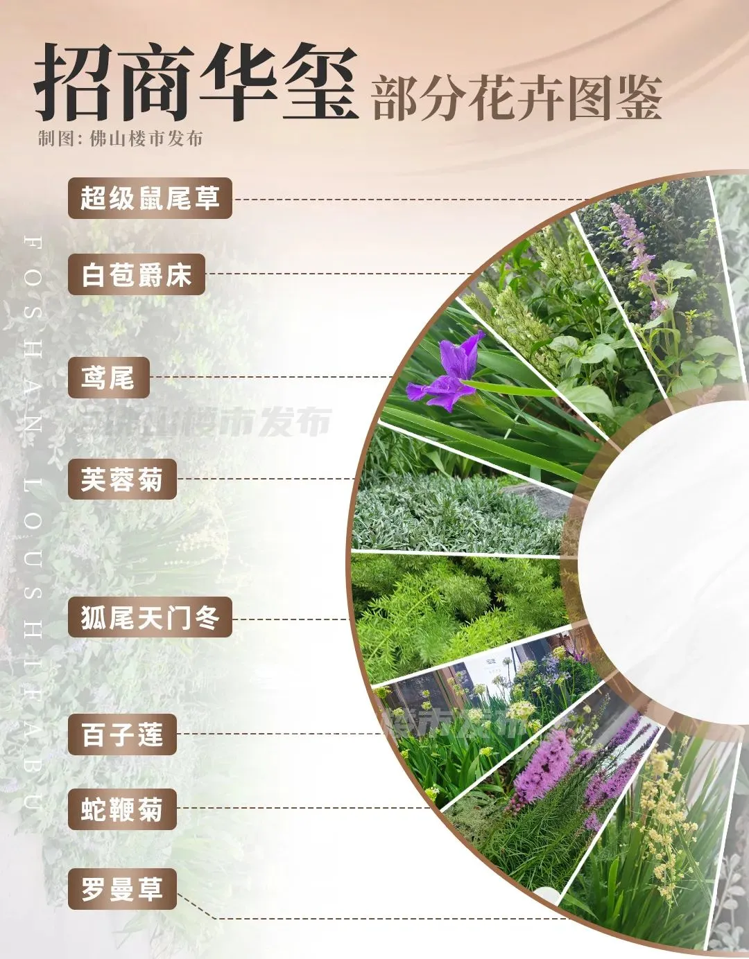 豪宅届的"劳斯莱斯",凭什么征服佛山大人物?