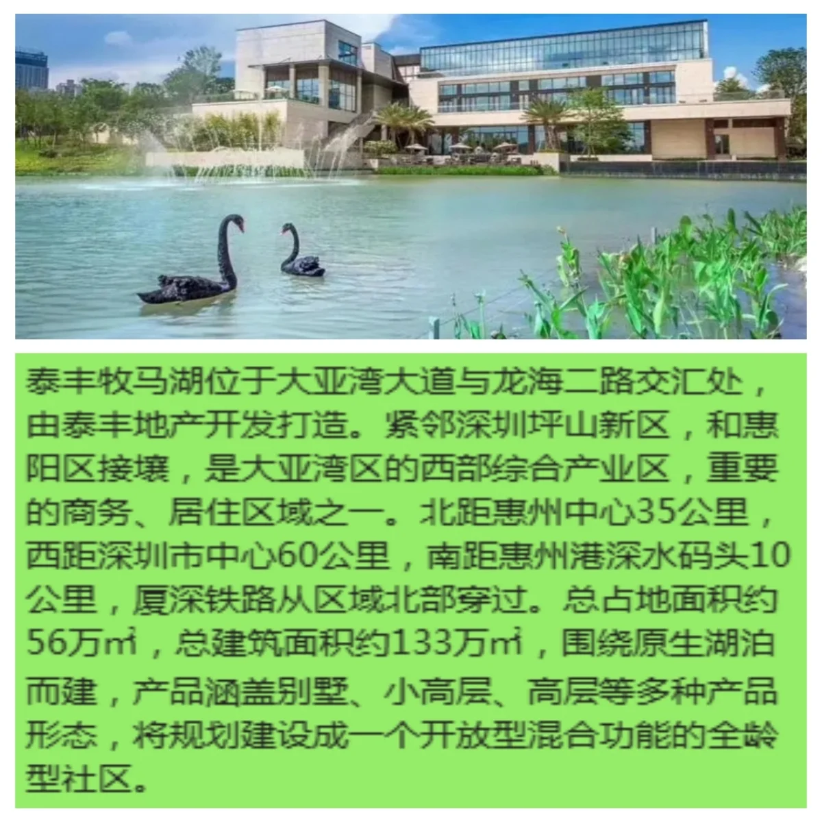pc/fcq/2024/11/27/8afca7fd-209d-49b8-b81a-d4e2af7e6dd0.jpg