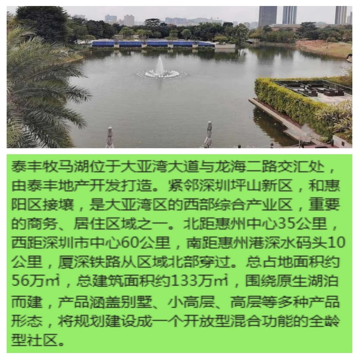 pc/fcq/2024/11/27/b3db0c0b-aebf-4096-887f-69c1aade7f0e.jpg