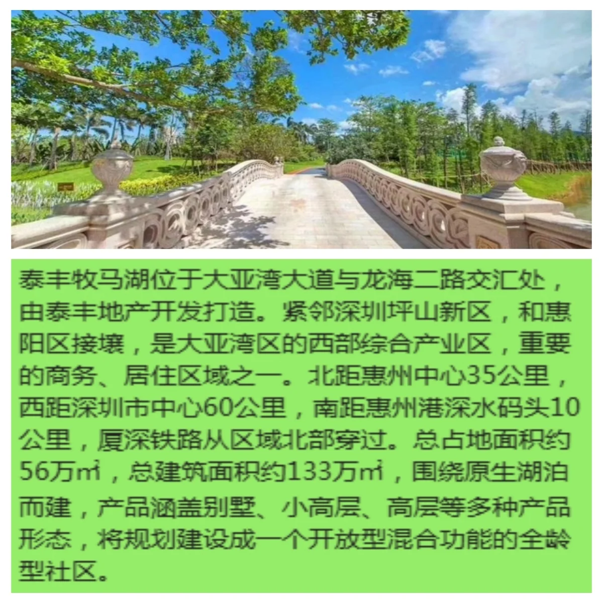 pc/fcq/2024/11/27/bc4f364b-2e63-4422-89f5-8355fcc73ac9.jpg