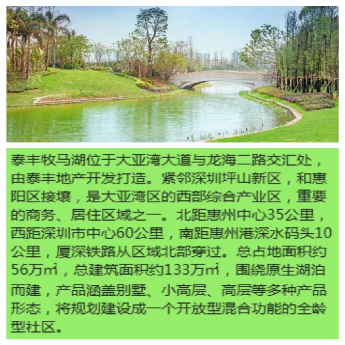 pc/fcq/2024/11/28/a139073f-5958-4e14-843e-0c5acaa6ed9f.jpg