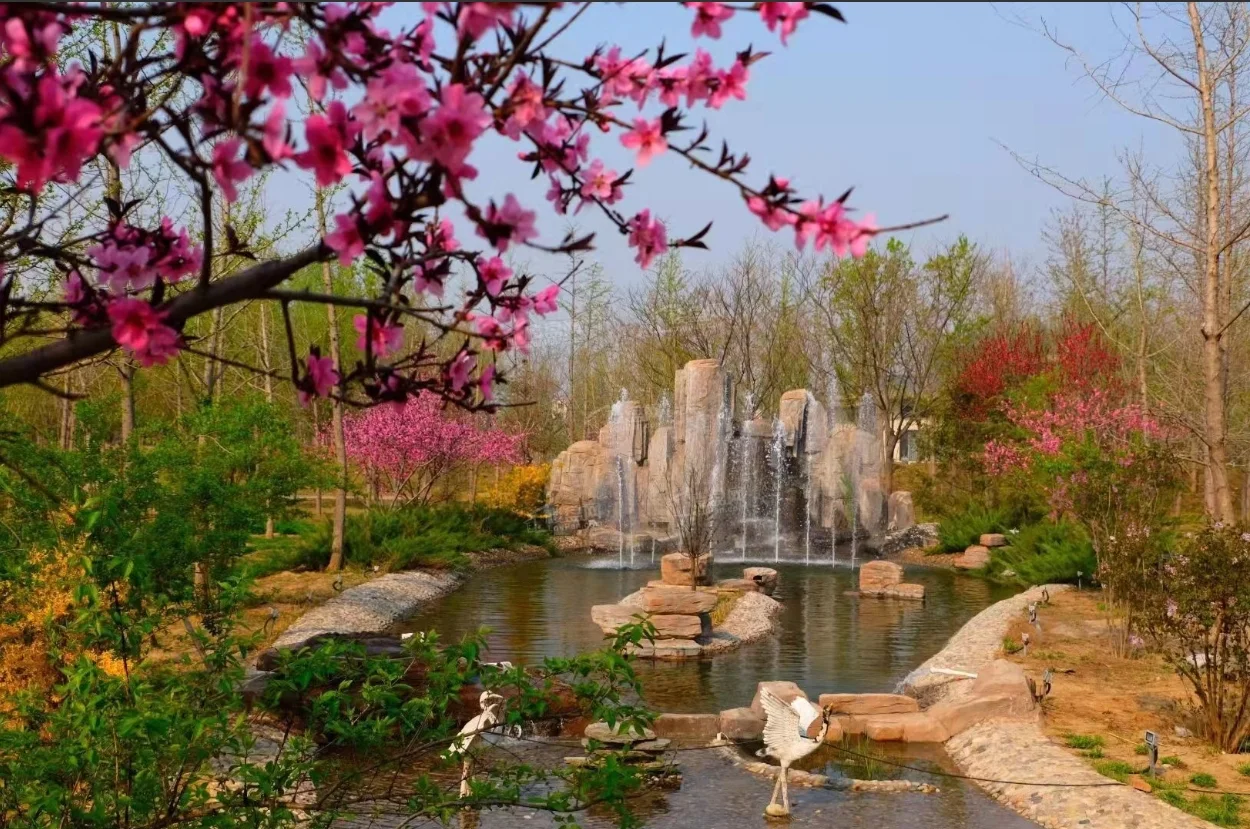pc/fcq/2025/02/24/5dcbfaa8-f8a9-4bdf-84be-6fc97cd298dd.jpg