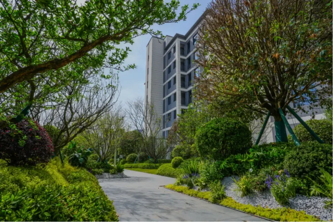 细节曝光!长沙宜居天花板竟是它们?